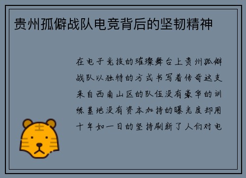 贵州孤僻战队电竞背后的坚韧精神