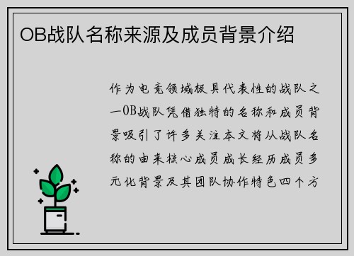OB战队名称来源及成员背景介绍
